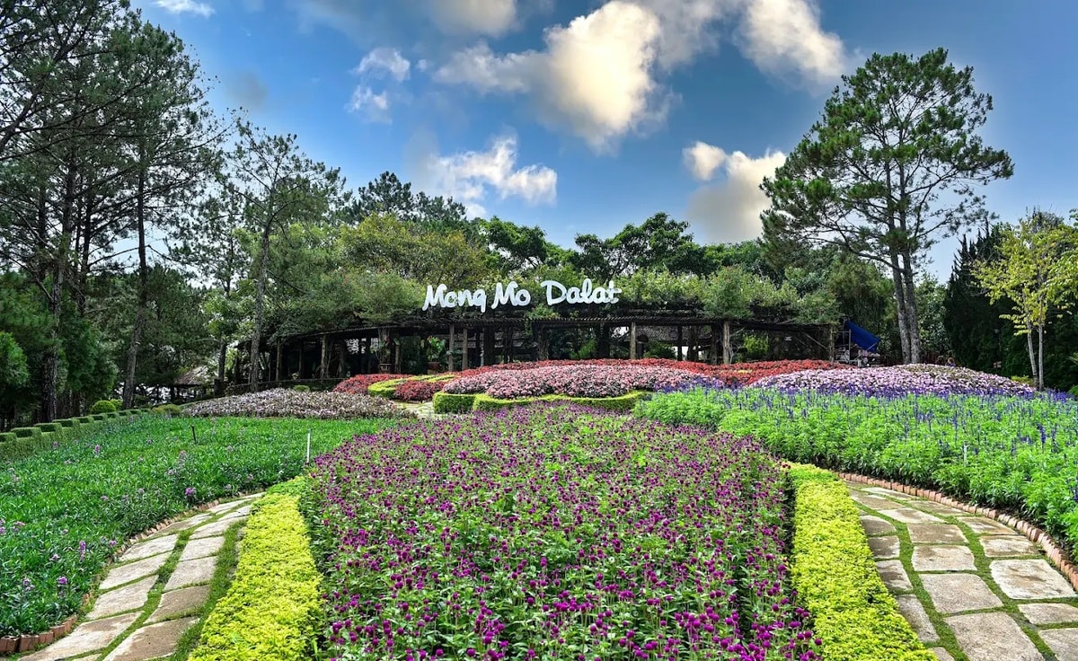 Đồi Mộng Mơ